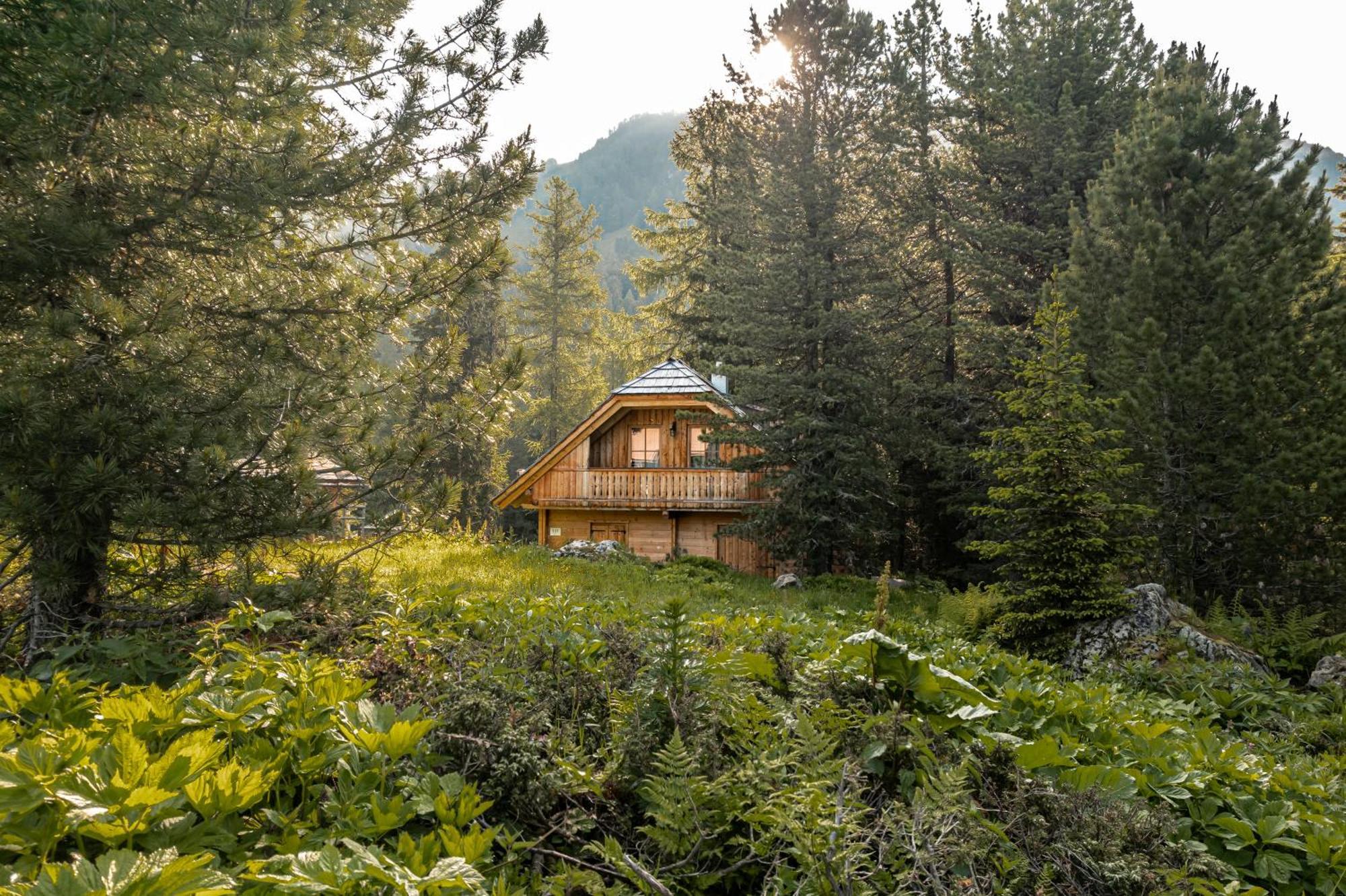 Alpin-Huetten Auf Der Turracherhoehe Haus Murmeltier By S4Y Turracher Hohe Exteriör bild